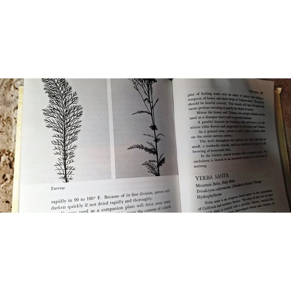 The Rodale Herb Book special deluxe edition How to use grow buy nature's miracle
